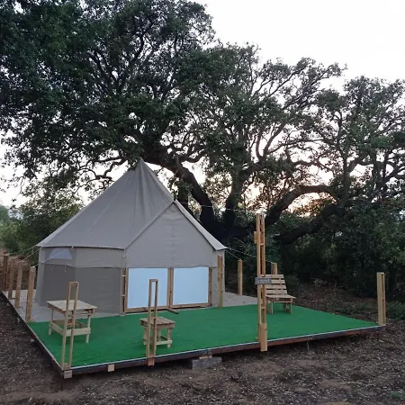 Glamping 럭셔리텐트